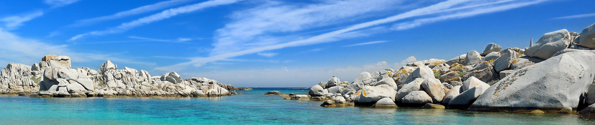 Plage De Santa Giulia Posidonies Explications De Sud Corse